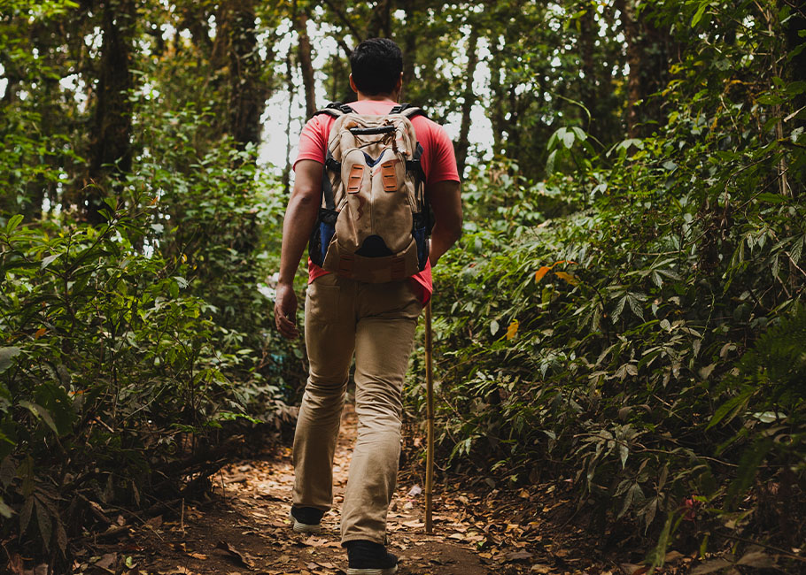 Hiking and Community Walks